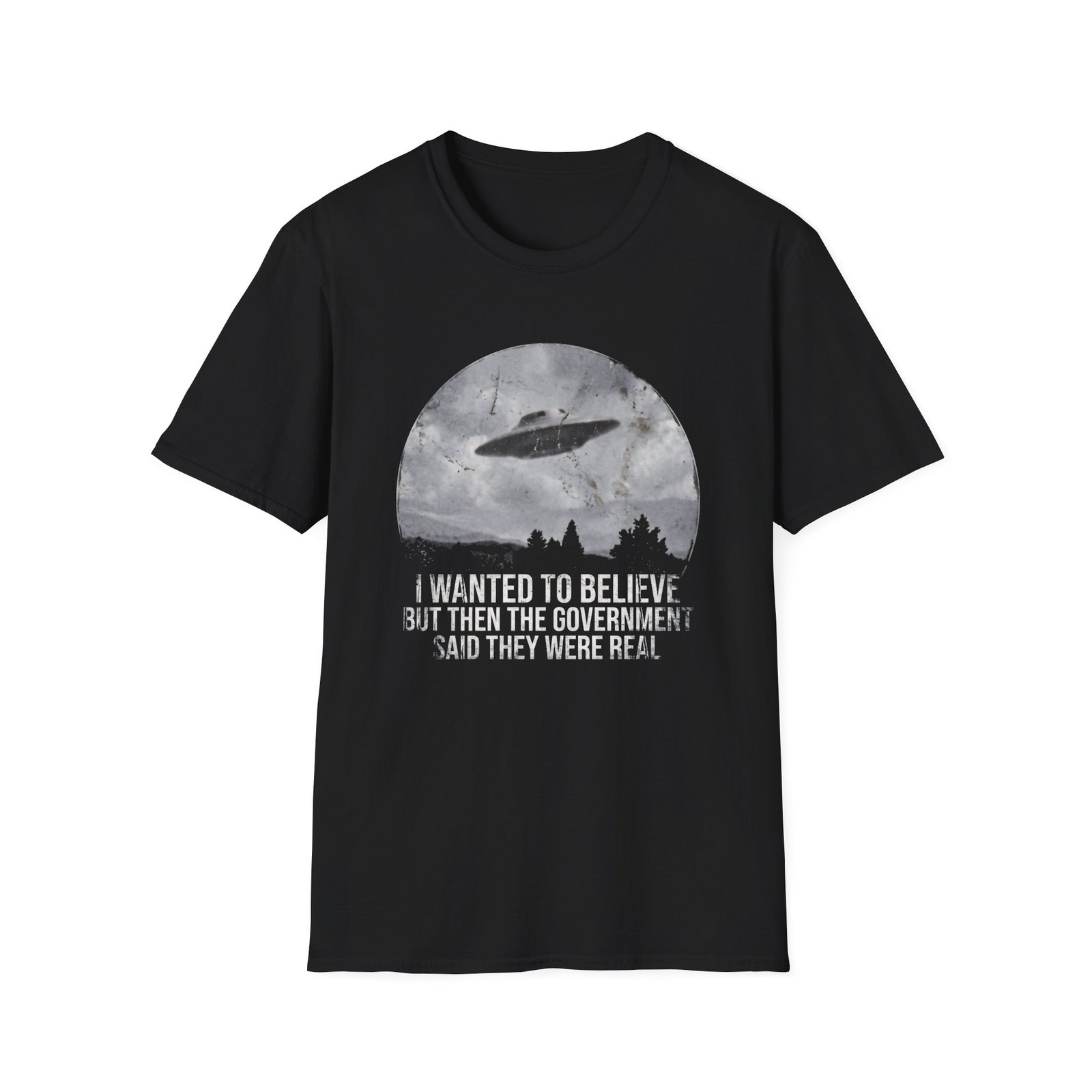 UFO I Wanted to Believe But Then